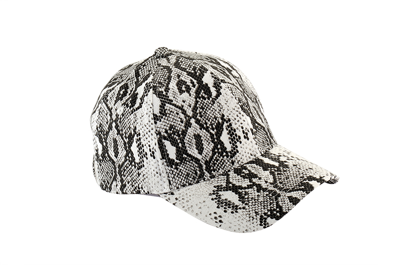 宁波棒球帽FDR_8891